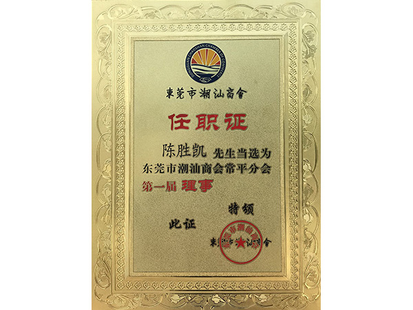 91麻豆精品国产91久久久久久金属荣誉：潮汕商会理事